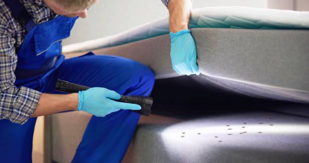 Best Best Pest Control Companies  in Carson, WA