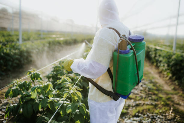 Best Spider Control Near Me  in Carson, WA
